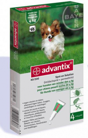 אדוונטיקס לכלב עד 4 ק”ג
