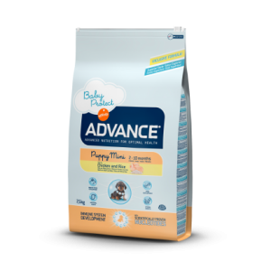 אדוונס כלב גור גזע קטן עוף